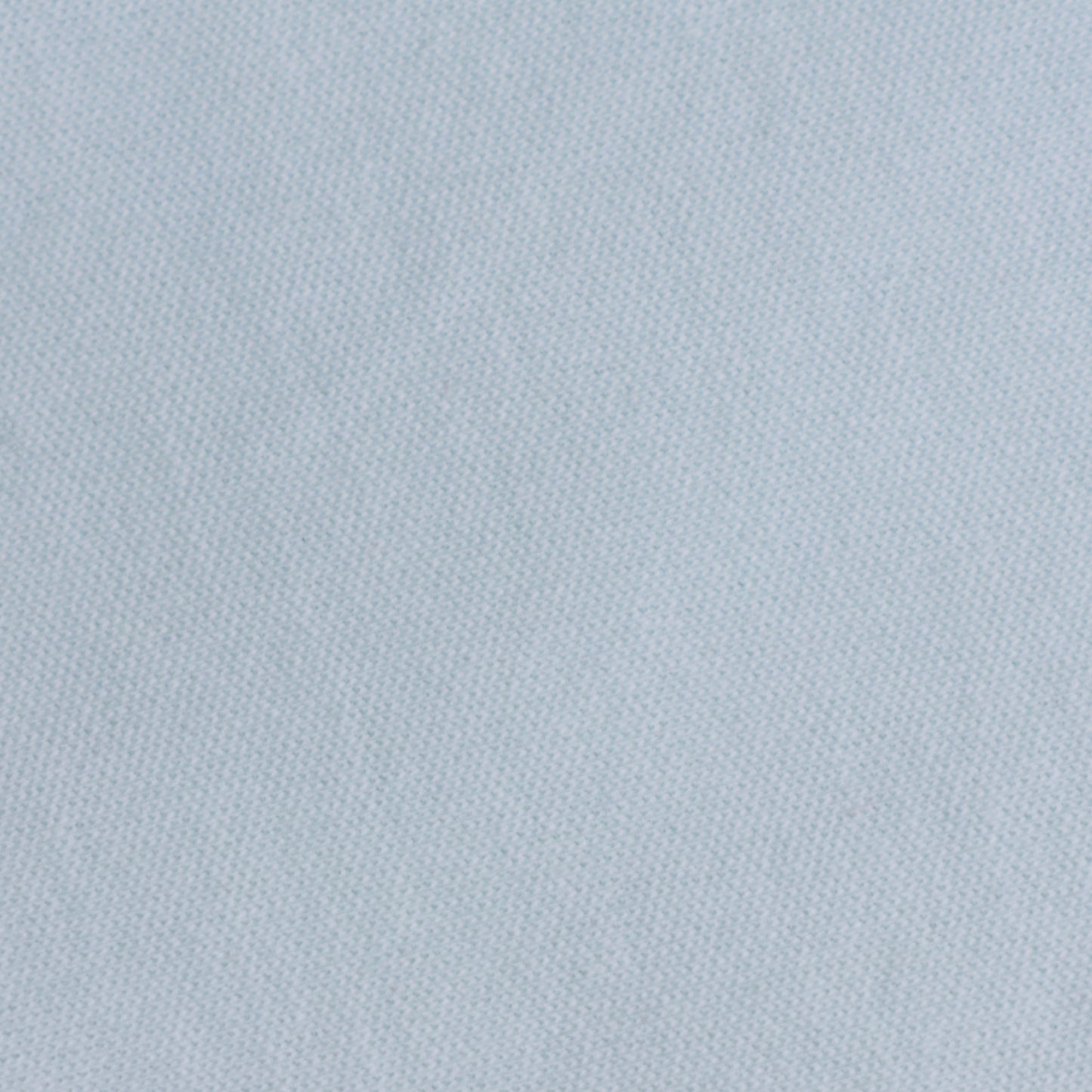 POLO MANGA LARGA DINO PIBB